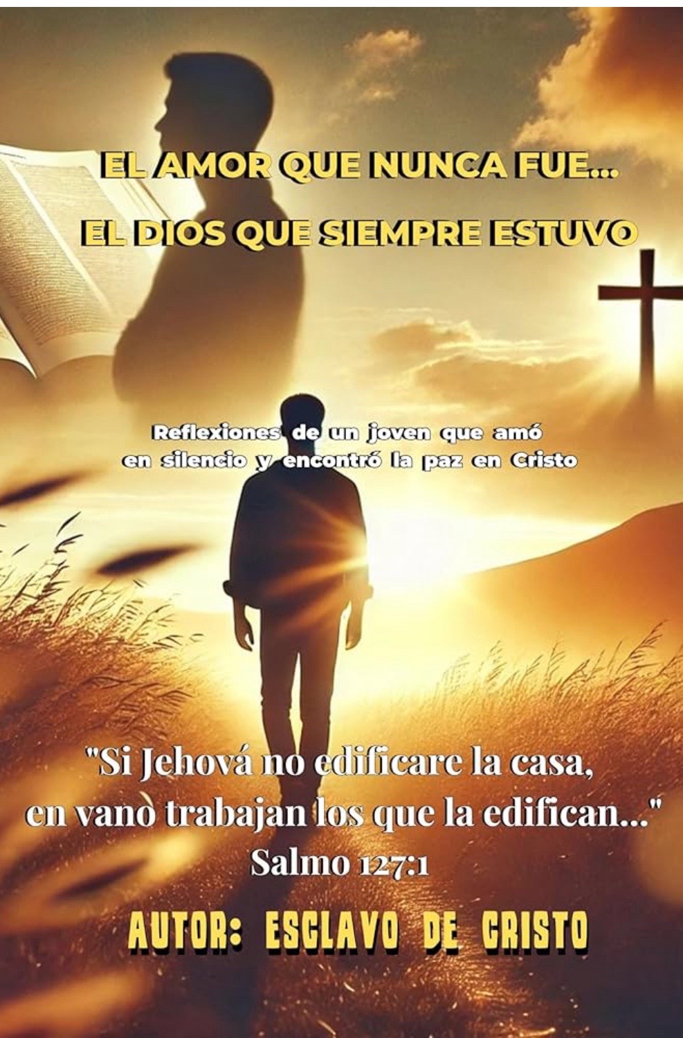 El amor que nunca fue